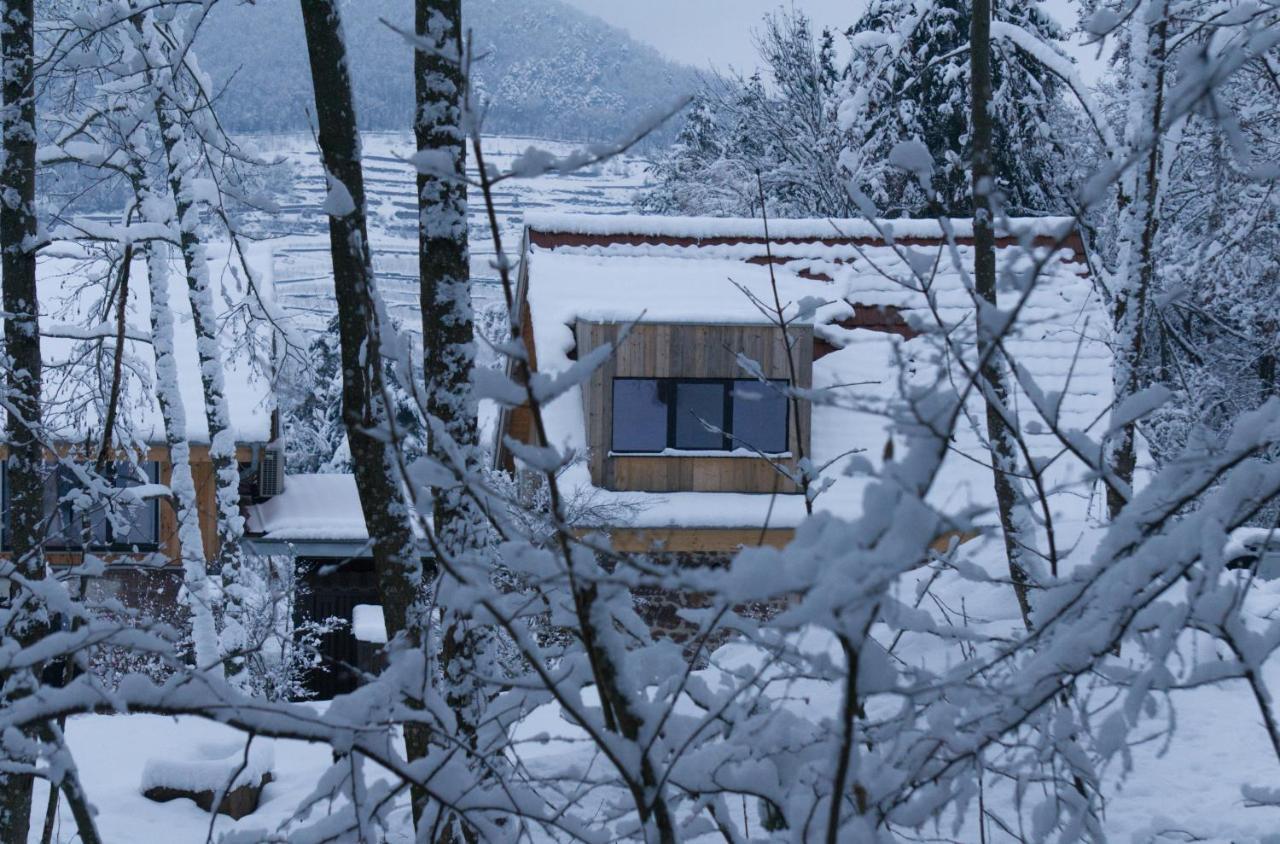 Le Grand Petit Prince - Domaine De Charme - Jacuzzis Privatifs Guebwiller Exterior foto